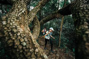 BIB: 
                            <button type="button" onclick="openModal(25393307)" class="btn btn-primary btn-sm float-right btn-popup" data-toggle="modal" data-target=".modal-high-quality">
                        <i class="fas fa-shopping-cart"></i> Add to Cart
                    </button>
                                            <button type="button" onclick="isThisMe(25393307, true)" class="btn btn-success btn-sm float-right btn-popup btn-isme hidden" data-toggle="tooltip" data-placement="bottom" title="นี่คือรูปของคุณใช่ไหม คลิกที่นี่เพื่อเอาเข้าอัลบั้ม">
                        <i class="fas fa-plus"></i> Add to album
                    </button>
                    <button type="button" onclick="isThisMe(25393307, false)" class="btn btn-warning btn-sm float-right btn-popup btn-isnotme hidden">
                        <i class="fas fa-ban"></i> Remove from album
                    </button>